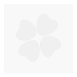 Iap Pharma Perfume Hombre N 63 30 Ml.